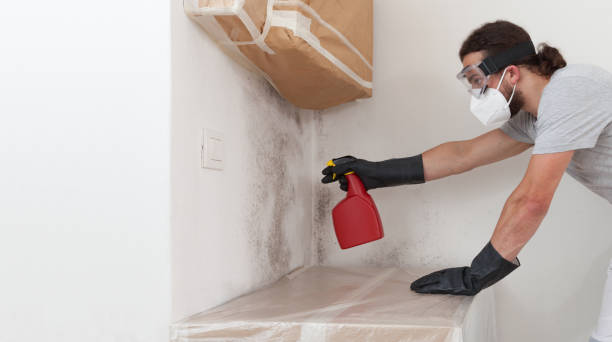Professional Crawl Space Mold Remediation technician working in Gowen, MI