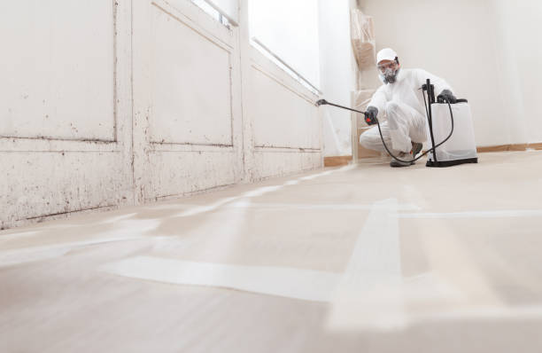 24/7 Emergency Crawl Space Mold Remediation experts in Gowen, MI