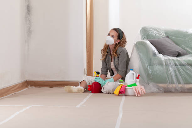 Reliable Crawl Space Mold Remediation contractor in Gowen, MI by 24 Hour Mold Removal